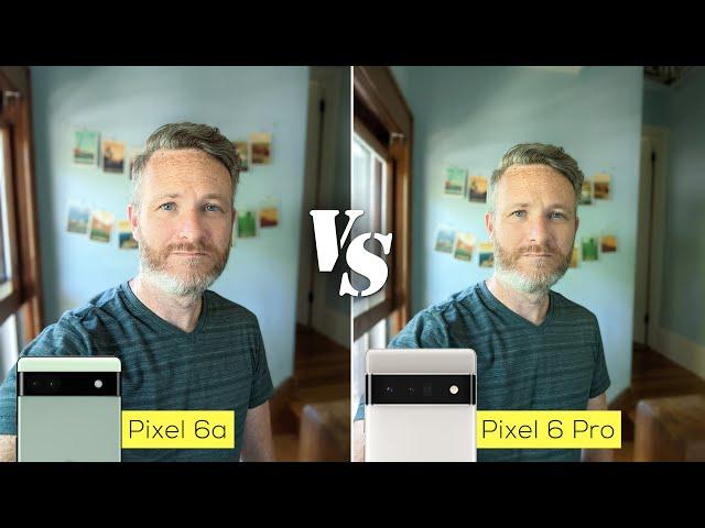 Pixel 6a versus Pixel 6 Pro camera comparison