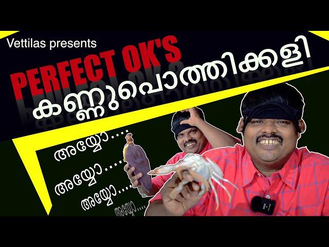 perfect ok| കണ്ണുപൊത്തിക്കളി|blind test| vettilas|Anirudh balagopal