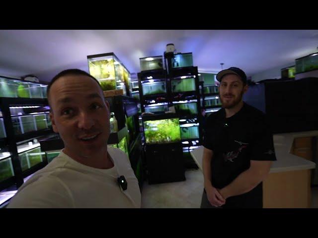 HOW TO SET UP A SHRIMP TANK  - The king of DIY -  Garden of Eder - Aquarium fish shrimp