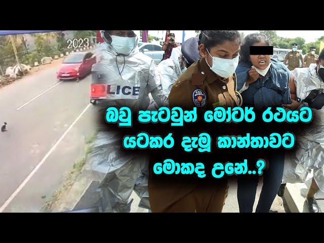 කළකම් පළදෙනව කියන්නෙ මේවට තමයි | බවු පැටවුන් යටකර දැමූ කාන්තාවට මොකද උනේ | sri lanka dog rescue