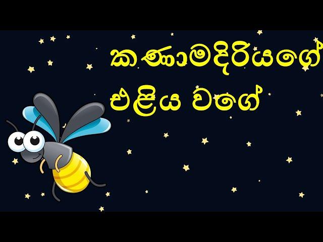 කණාමදිරියගේ එළිය වගේ| Like the light of the Firefly | Sinhala Cartoon | Sinhala Fairy Tales