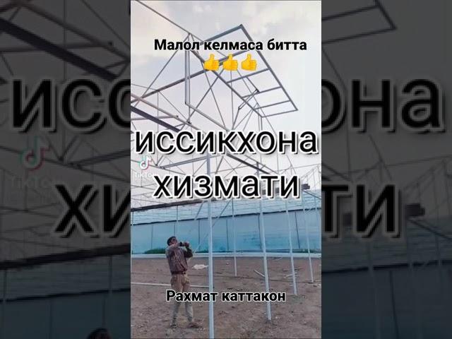 типлица карейский форма