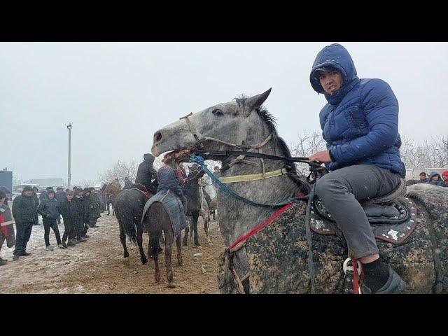 Shahidon ot bozori bugungi narhlar bilan tanishing 20.02.2024yil