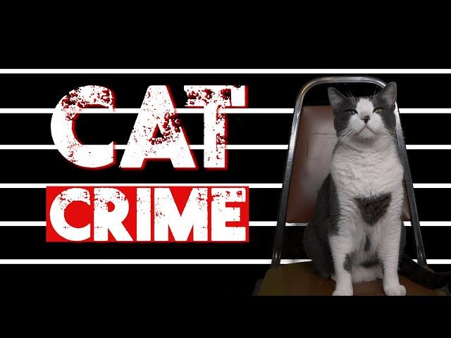 Cat Crime - Episode 1 - No Dogs Left to Blame