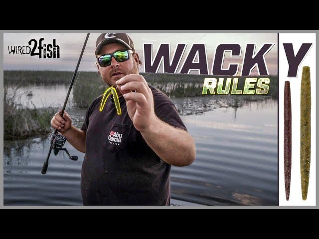 Wacky Rig Bass | Cox’s 4 Tips to Improve Success