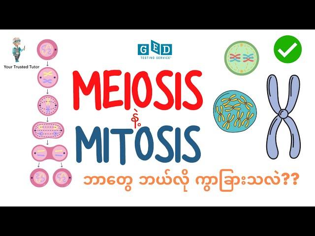 Meiosis Vs Mitosis Differences for GED science | Cell Division | Cellular Multiplication | Genetics