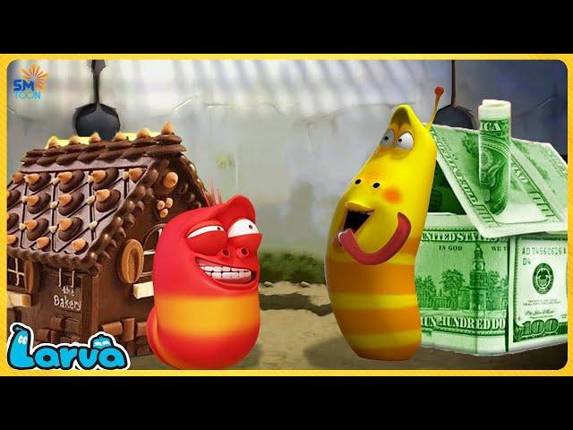 LARVA SEASON 1 EPISODE 482 ~ 527 | CARTOON FOR LIFE NEW VERSION | NEW COMEDY VIDEO 2023