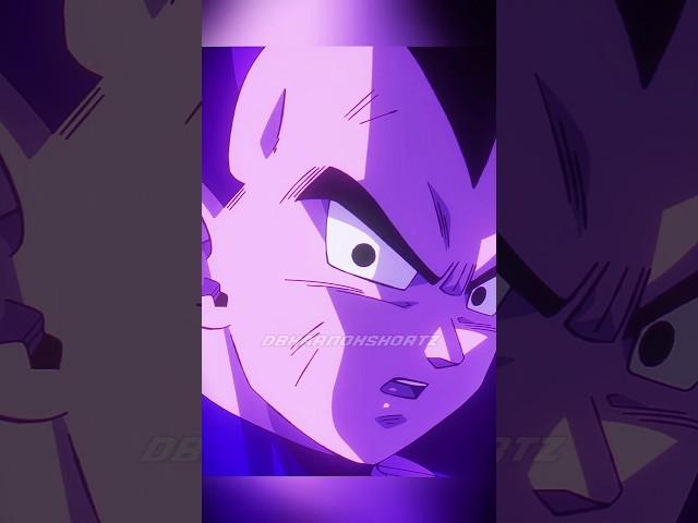 Only Reason Vegeta Resign From Fight | DB DAIMA