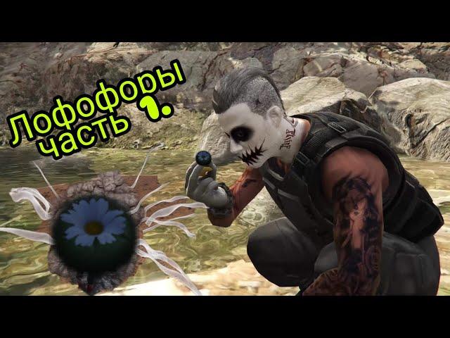 GTA 5 online. Lophophores. We collect peyote. Halloween update. #aswyoutube