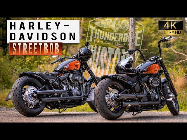 Thunderbike Doubles - customized Harley-Davidson Street Bob    4K