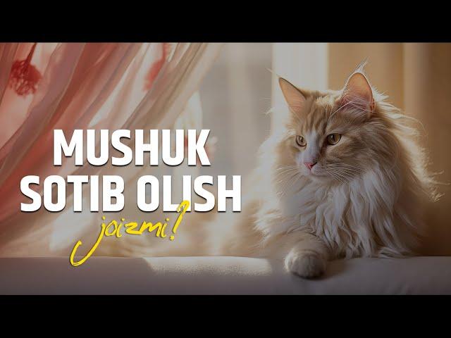 Mushuk sotib olish joizmi? | Shayx Sodiq Samarqandiy