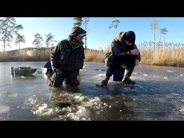 ЛОВЛЯ КРУПНЫХ КАРАСЕЙ НА ЛЕСНОМ ОЗЕРЕ! Зимняя рыбалка на карася, Карась