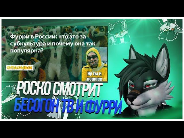  Роско смотрит Ruslan Brovkin - ‎Никита Михалков ворвался на детский утренник к фурри, чайлдфри