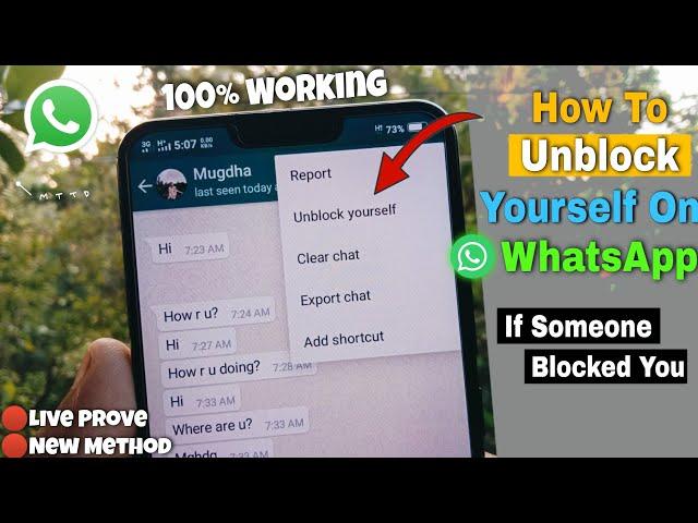 How To Unblock Yourself On WhatsApp If Someone Blocked You! (Best Way)