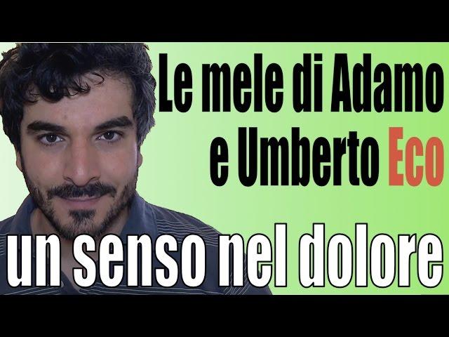 Un senso nel dolore: le mele di Adamo e Umberto Eco