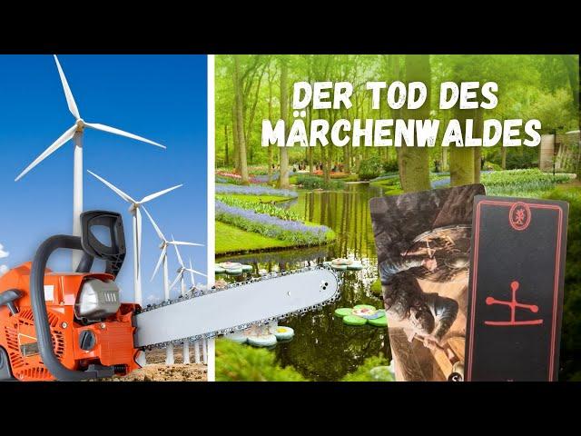 Der Tod des Märchenwaldes