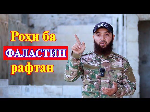 Чигуна ба Фаластин рафта метавонем?! | Мухсин тч