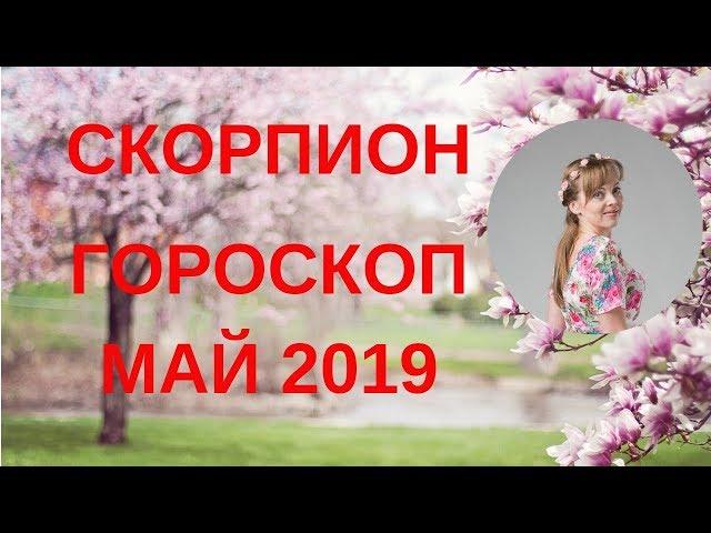 Скорпион - гороскоп на май 2019 года