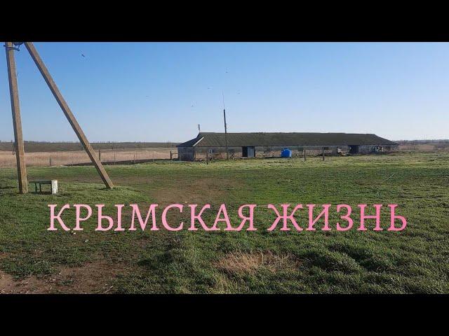 18 декабря 2024 г.Крымская жизнь! Погода,природа и мы.