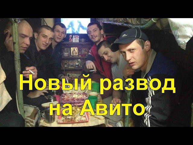 Звонок из зоны/тюремный развод/новый вид мошенничества