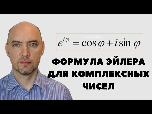 Что такое формула Эйлера для комплексных чисел? Душкин объяснит