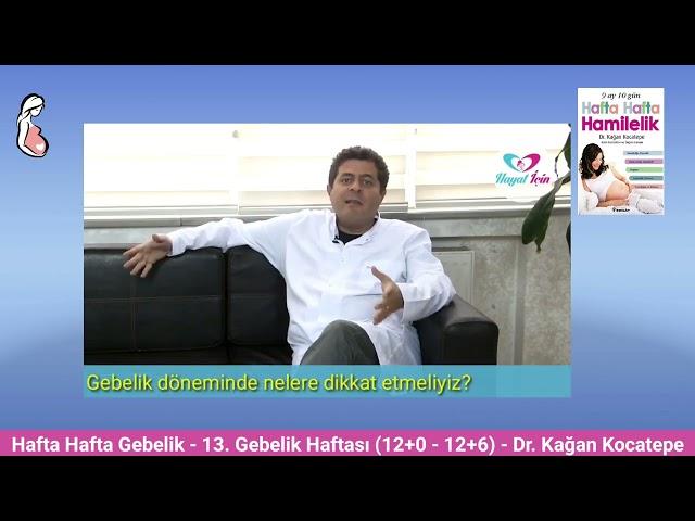 Gebelikte 13. hafta (12+0-12+6) belirtileri. Anne adayı ve bebekte değişiklikler, ikili (11-14) test