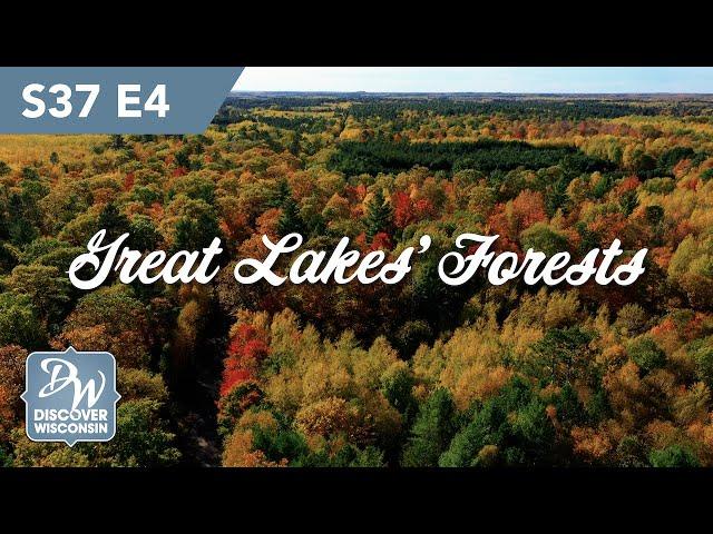 Forests of the Great Lakes Region - Conservation to Recreation