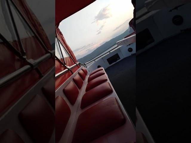 tsov  
