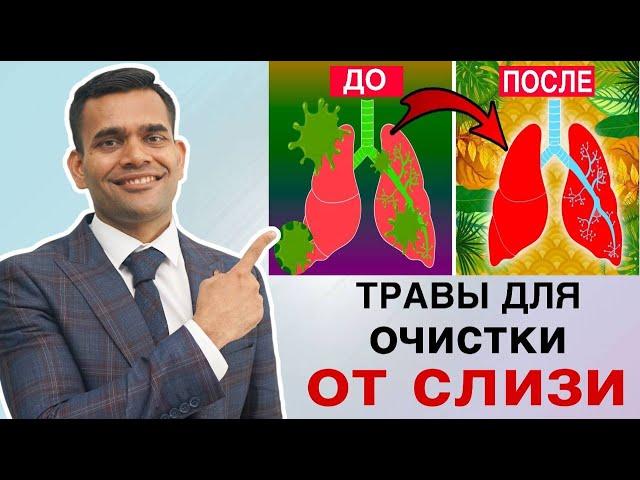 5 Продуктов Для Здоровья Легких, Очищения От Слизи И Уничтожения Вирусов