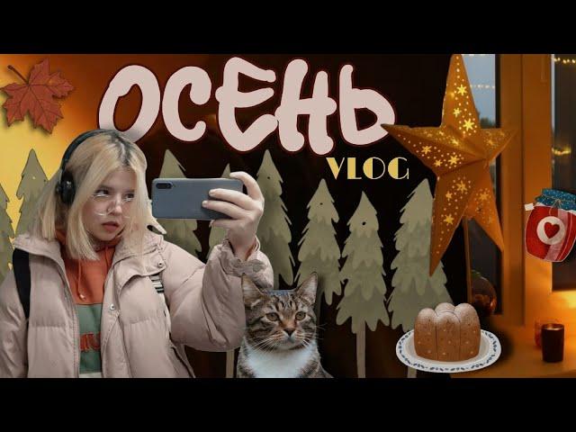 7 VLOG | осень | уютный влог | учеба, работа и мрачный Петербург