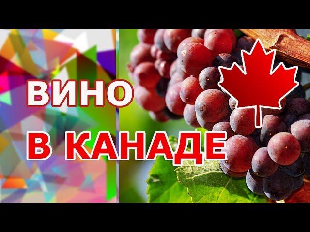 Виноделие в Канаде. Вино Онтарио. Тур на виноградники и винодельни производства Ниагарского региона