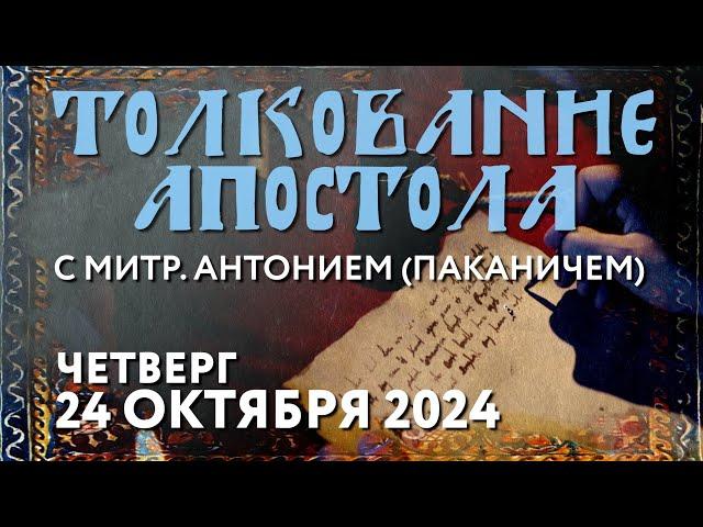 Четверг, 24 октября 2024 года. Толкование Апостола с митр. Антонием (Паканичем).