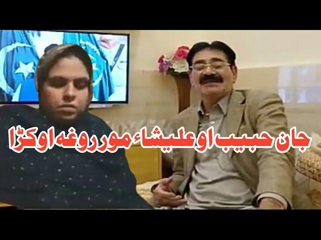 Jan Habib Reply to Alisha 007 Mor Sonia Sha || Maidan tv