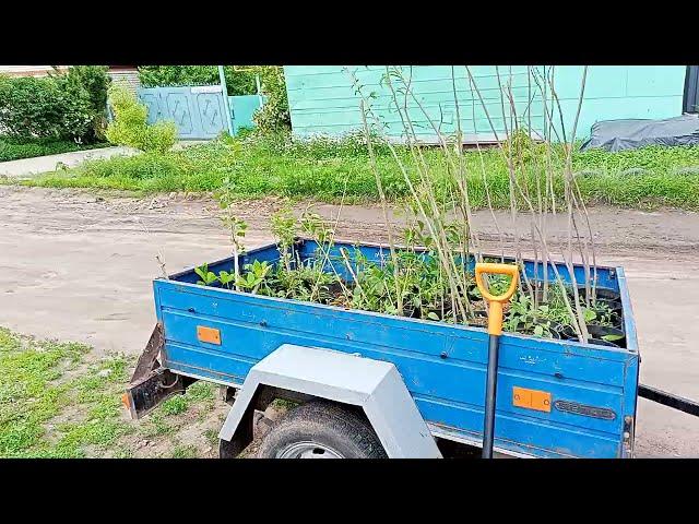 "Vegan Village"Еду в Атамановку"Деревня Веганов"