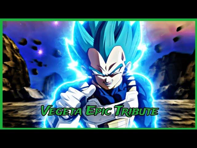 Vegeta Epic Tribute