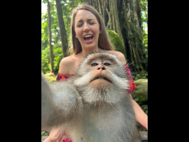 I survived the TERRIFYING Ubud Monkey Forest! #shorts