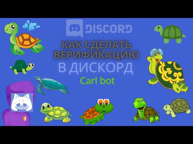 Как сделать верификацию в Discord с помощью Carl bot