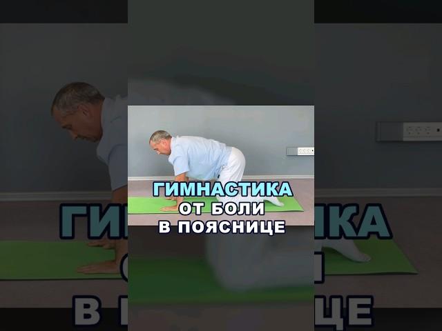 Гимнастика от боли в пояснице. смотрите полное видео на канале #здоровье #докторшишонин #поясница