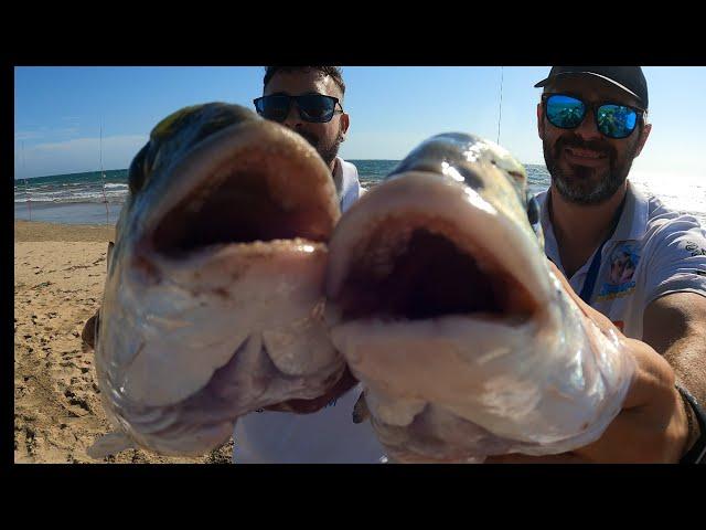 1/2 DORADAS a SURFCASTING en HUELVA, pesca SURFCASTING, SURFCASTING GRANADA