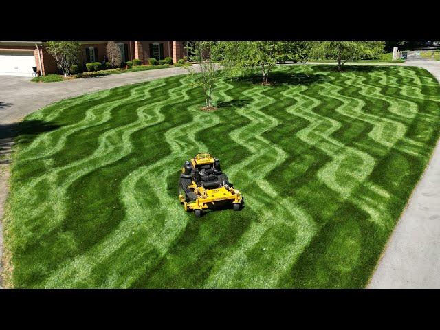 Turning this lawn into a WATERMELON print pattern using a Hustler Super SF