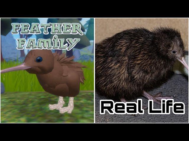 Feather Family In Real Life 10