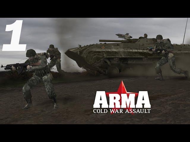 Arma: Cold War Assault. Проходим миссии по сети. #1