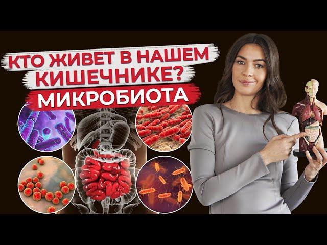 Микробиота кишечника - мир внутри нас! / Как восстановить микрофлору кишечника?