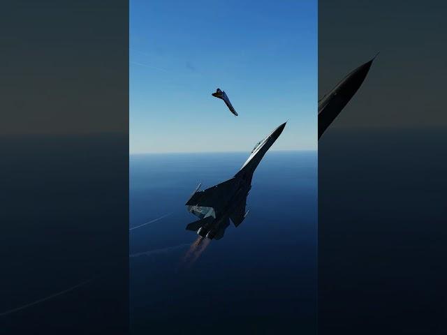 Sukhoi Su-27 Flanker vs Mirage 2000 #DCS