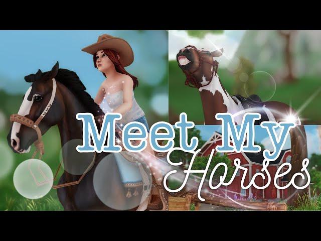 Meet my Horses || SSO RRP