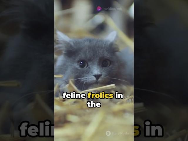 Furry Felines Frolic: Farm Edition 