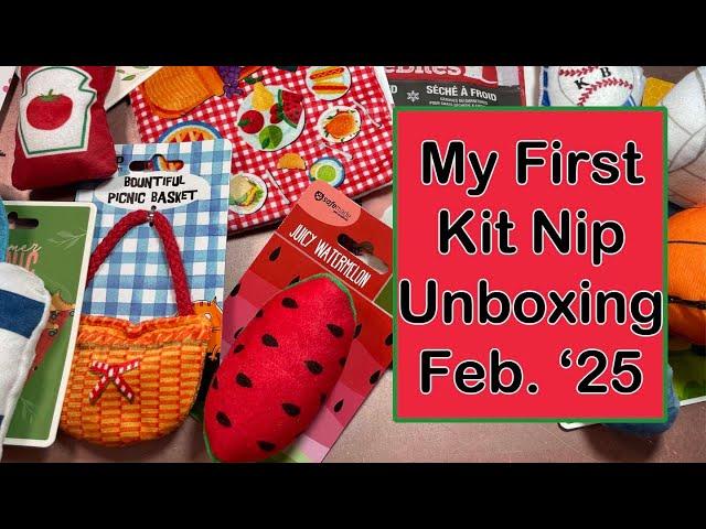 My First Kit Nip Unboxing