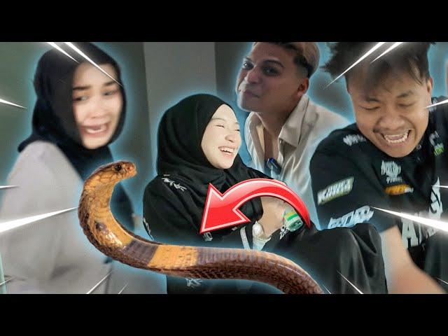 PRANK ULAR TIBA2 J4TUH ATAS PEHA!! TUMPAH MAKANAN !! ￼￼