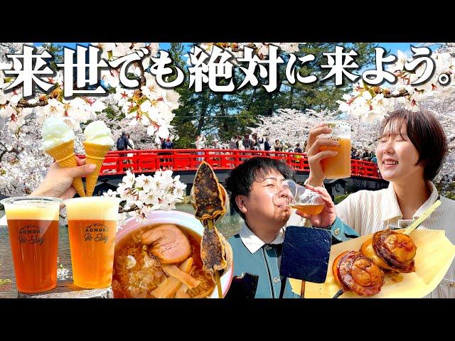 【東北旅行】これが日本一の桜…一生に一度は見たい春の絶景！夜桜まで楽しむ呑んだくれアラサー旅