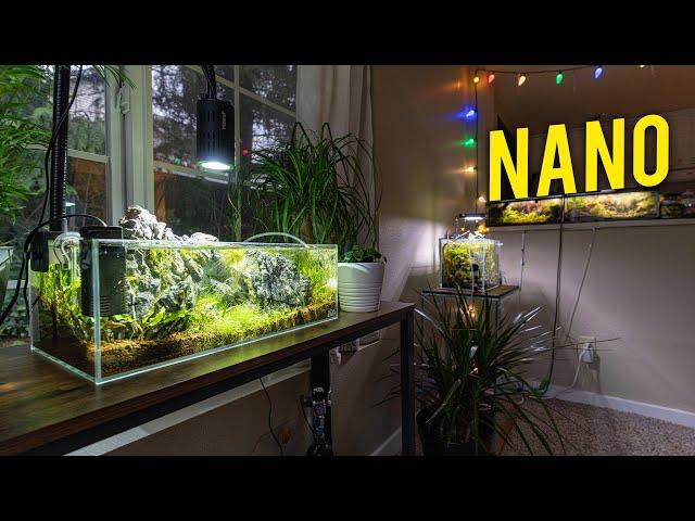 AMAZING Nano Aquascape Fish Room in an Apartment ﻿[Tour]